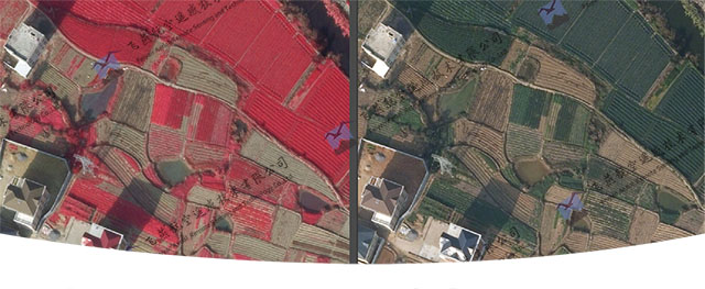 黑臭水體監測2.jpg 黑臭水體監測2.jpg